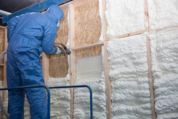 Best Insulation for New Construction in Waynesboro, MS